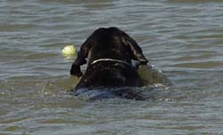 Ball