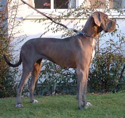 Batida - 14 Monate