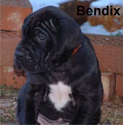 Bendix