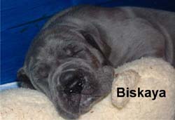 Biskaya - 4 Wochen