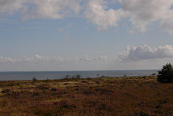Braderuper Heide