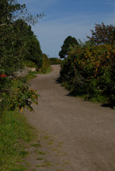 Weg nach Kampen
