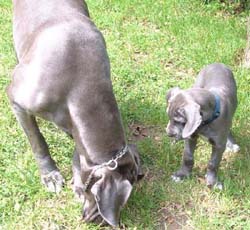 Charleen und Daisy
