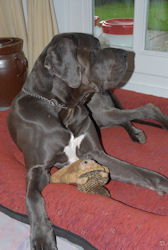 Aufgeweckt