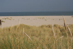 Ellenboge