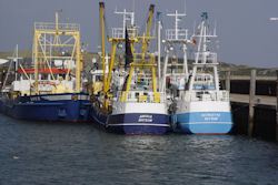 Krabbenkutter im Hafen