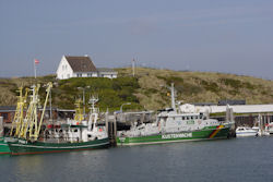 Hoernum Hafen