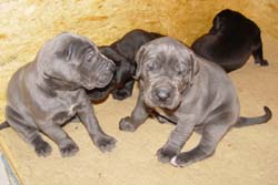 Bruder&Schwester
