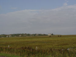 Wattwiese