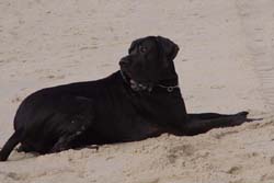 Yassim Strand Sylt