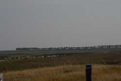 Hindenburgdamm