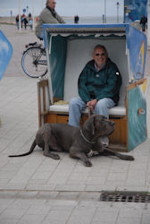 Papa Strandkorb