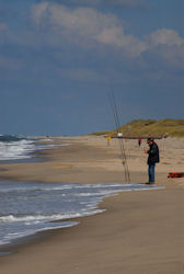 Angler
