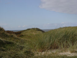 Rantumer Dünen