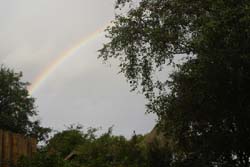 Regenbogen