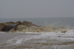 Sandvorspuelung2