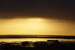 Sonnenaufgang Watt