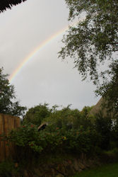 Regenbogen