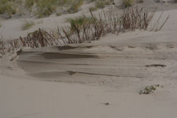 Sandverwehung