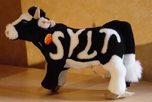 Die Syltkuh