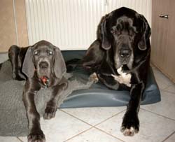 Yassim und Danilo