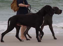 Strandspaziergan